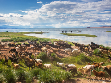 Adventurous Western Mongolia Tour